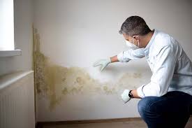 Reliable Richlands, VA Mold Removal Solutions